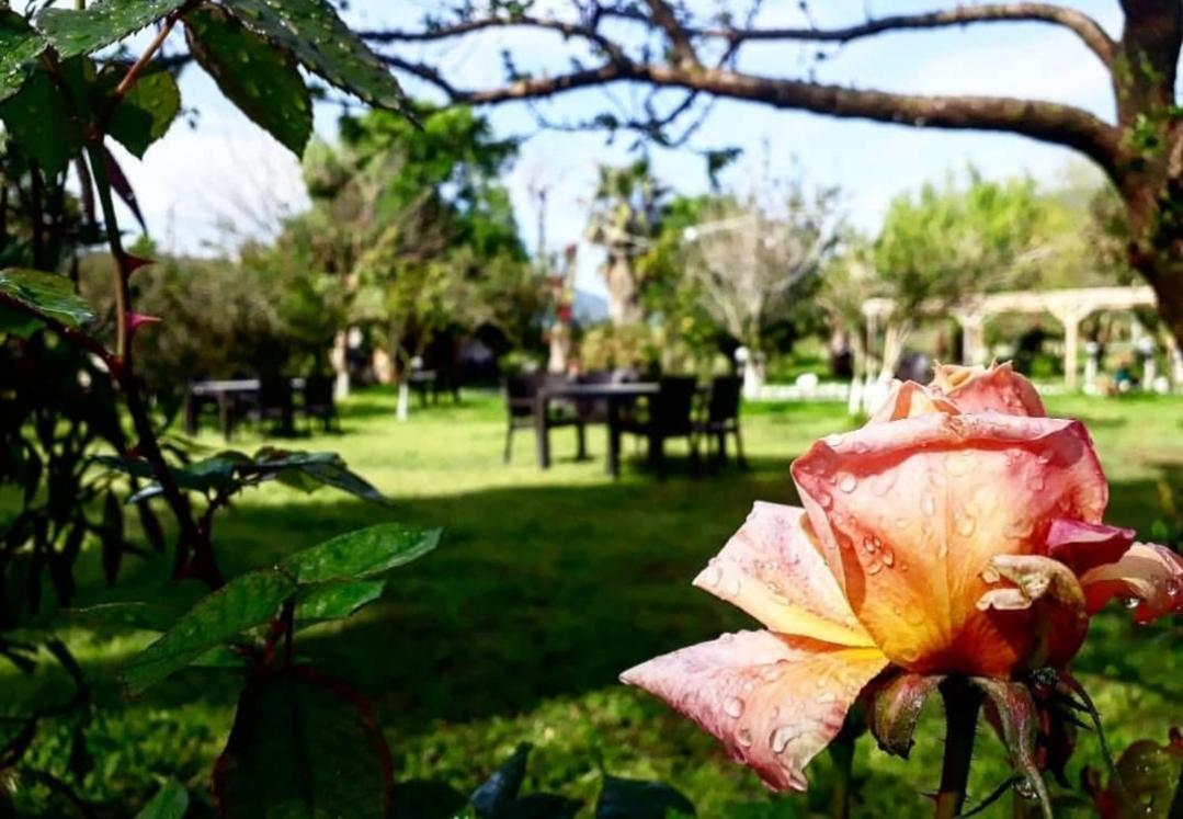 Bed and Breakfast Otantik Tas Ev Dalaman Exterior foto